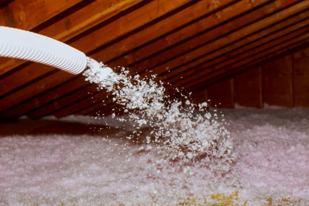 Best Spray Foam Insulation in West Portsmouth, OH