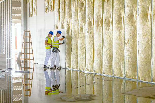 Best Specialized Insulation Services in West Portsmouth, OH